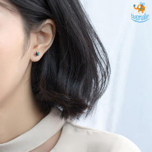 Load image into Gallery viewer, Star Shaped Ear Studs