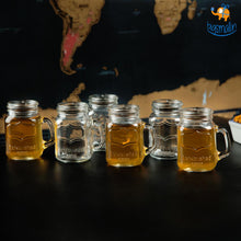 Load image into Gallery viewer, Mug Shot Glasses - Set of 6