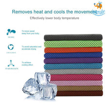 Load image into Gallery viewer, Hot & Cold Towel