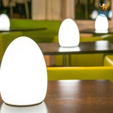 Load image into Gallery viewer, Portable Egg Shaped LED Night Light
