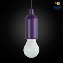 Load image into Gallery viewer, Hanging Pull Light Bulbs
