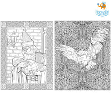 Load image into Gallery viewer, Official Harry Potter Colouring Book
